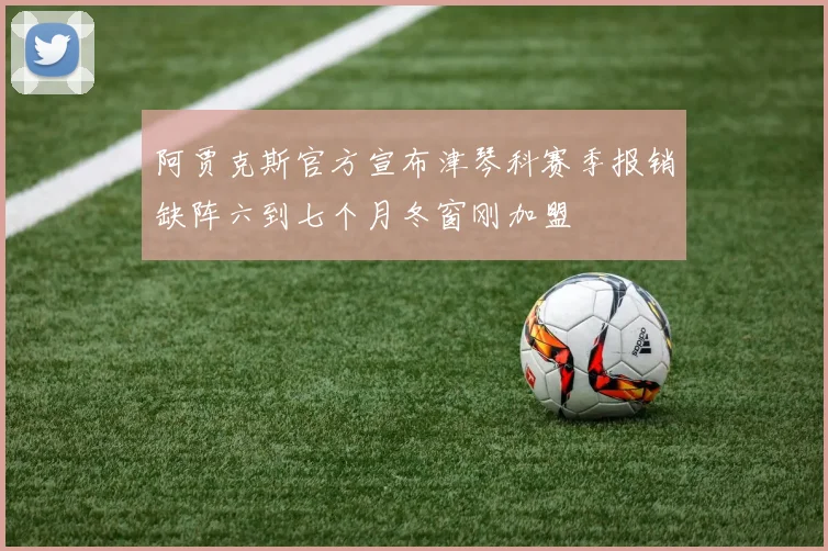 阿贾克斯官方宣布津琴科赛季报销缺阵六到七个月冬窗刚加盟